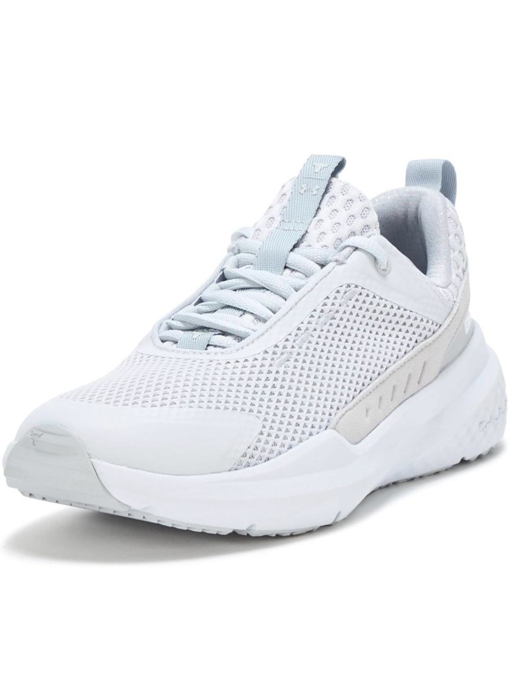 Under Armour Men's Project Rock Blood Sweat Respect 5